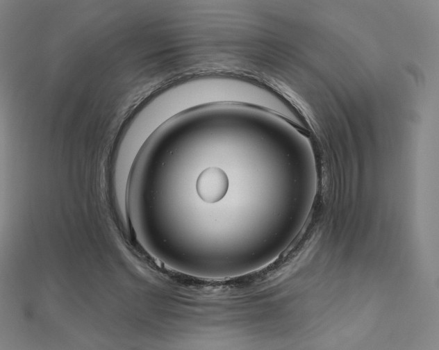 X0000112480493200908171223