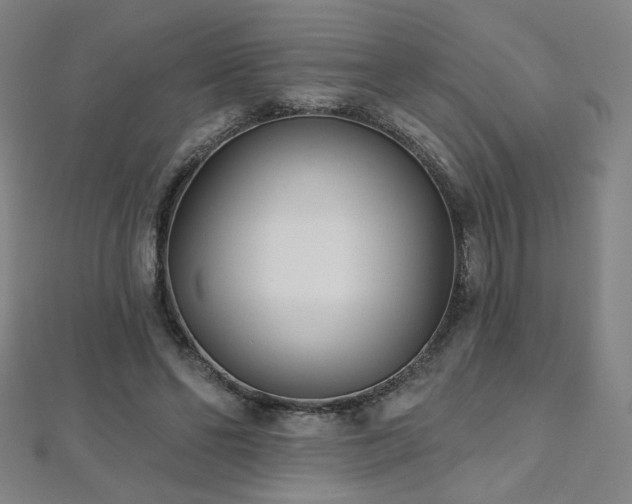 X0000112480494200908171223
