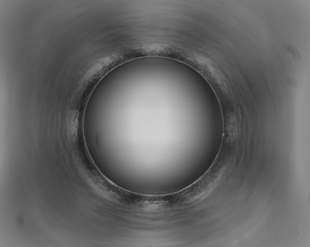X0000112480495200908171223