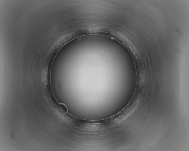 X0000112480497200908171223