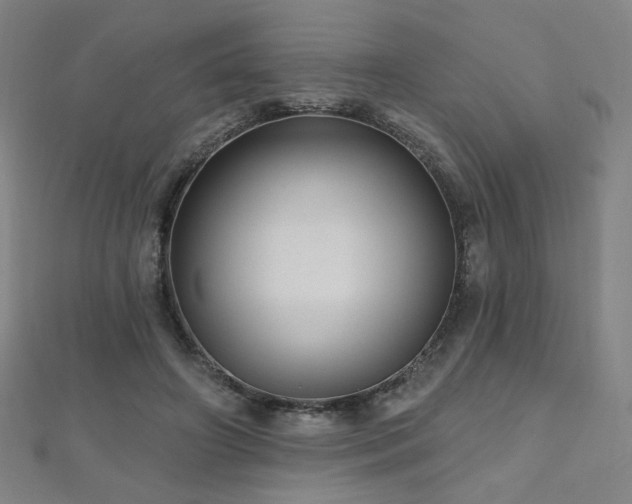 X0000112480498200908171223