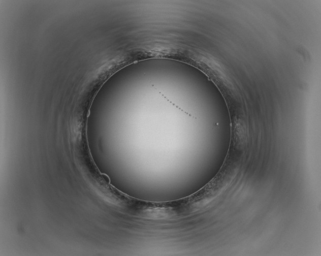 X0000112480499200908171223