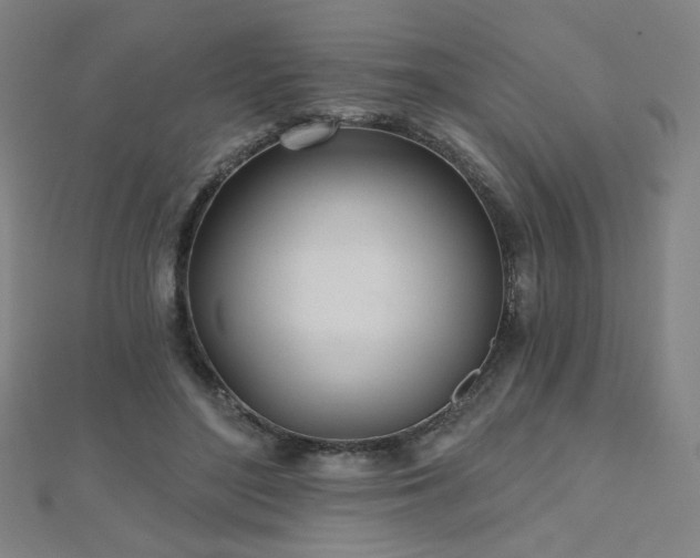 X0000112480500200908171222