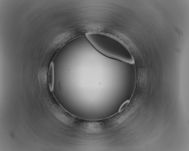 X0000112480501200908171222