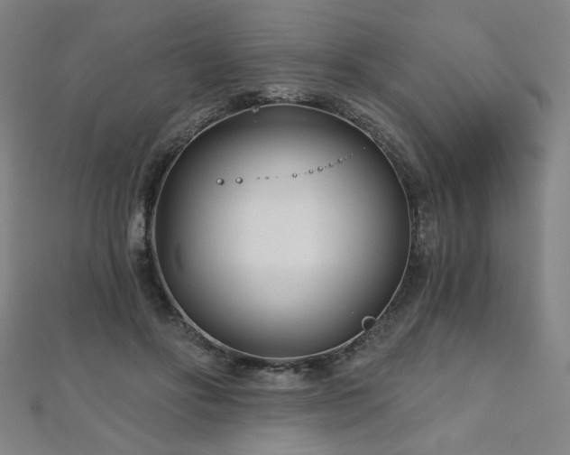 X0000112480502200908171222