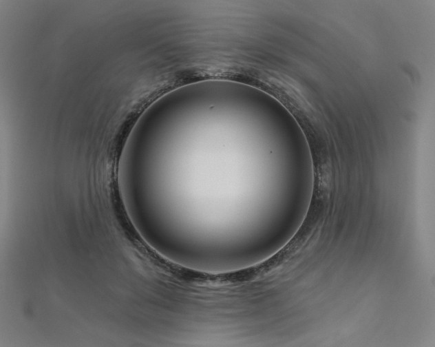X0000112480503200908171222