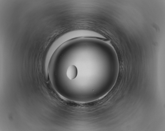 X0000112480504200908171222