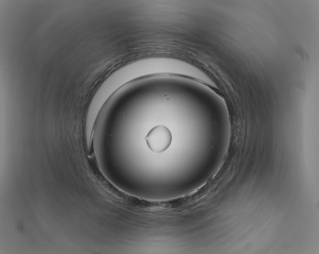 X0000112480505200908171222