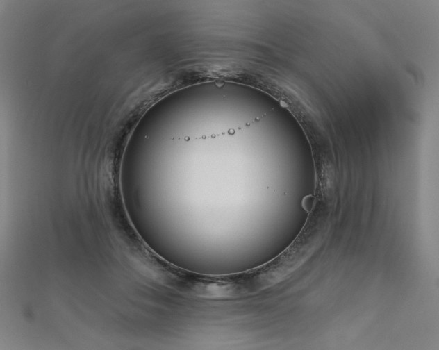 X0000112480506200908171222
