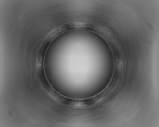 X0000112480507200908171222