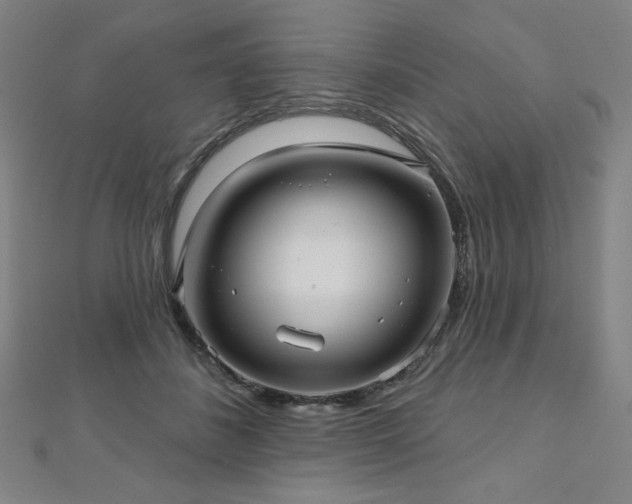 X0000112480508200908171222