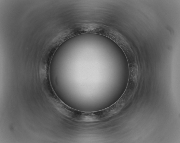 X0000112480510200908171222
