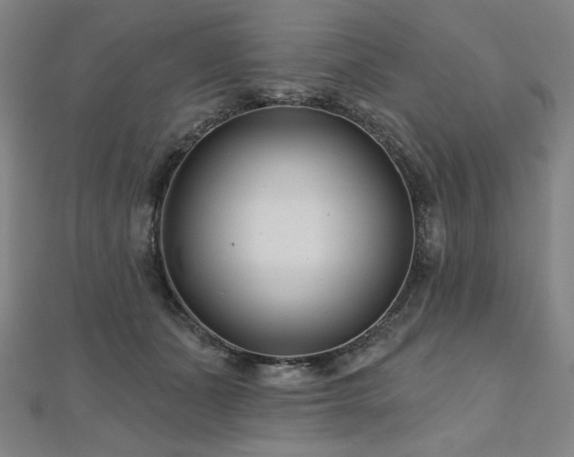 X0000112480511200908171222