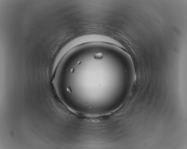 X0000112480512200908171222