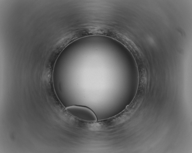 X0000112480513200908171222