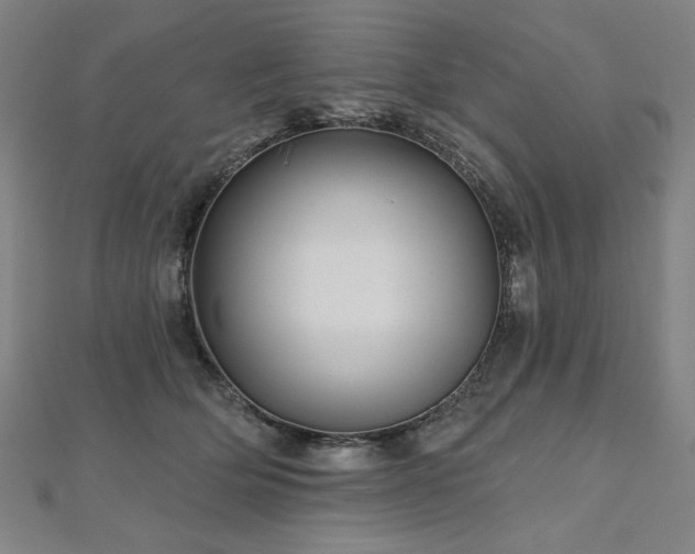 X0000112480514200908171222