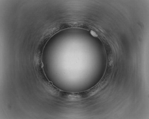 X0000112480515200908171222