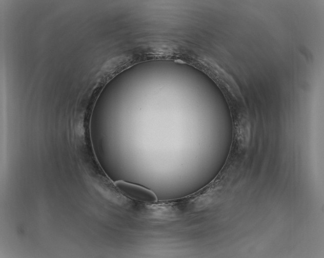 X0000112480516200908171222