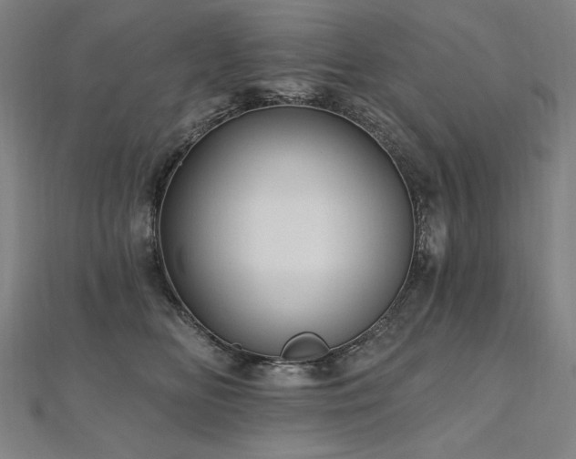 X0000112480518200908171222