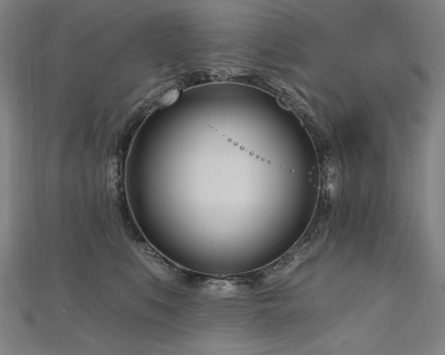 X0000112480519200908171222
