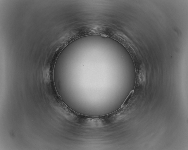 X0000112480520200908171222