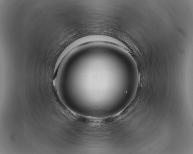 X0000112480521200908171222