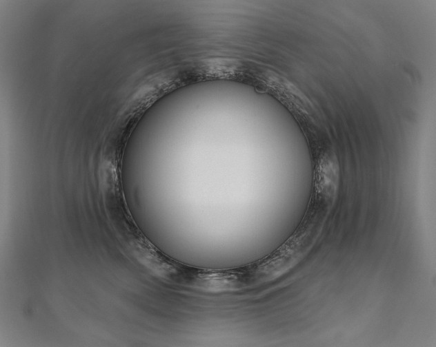 X0000112480522200908171222