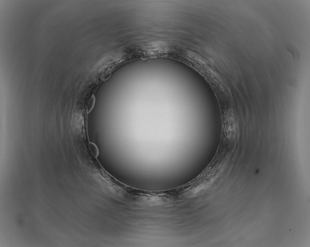 X0000112480523200908171222