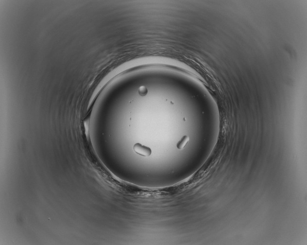 X0000112480524200908171222
