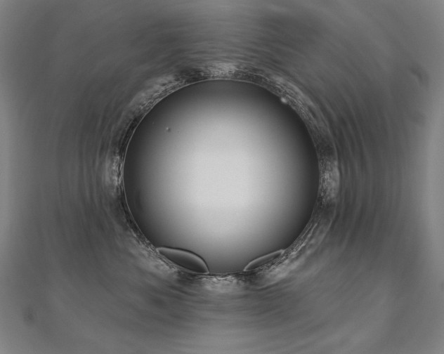X0000112480525200908171222