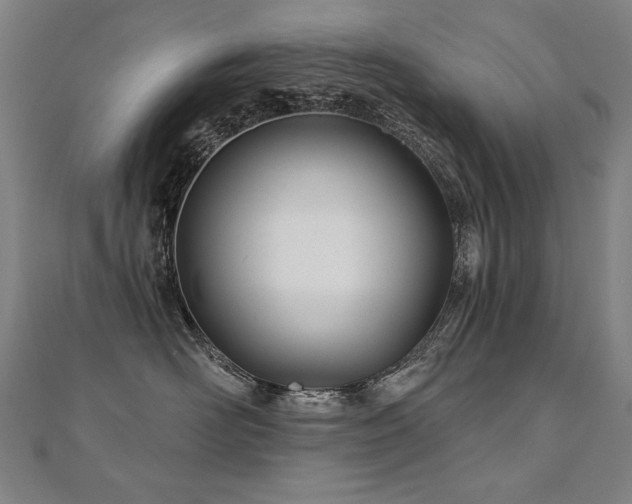 X0000112480526200908171222