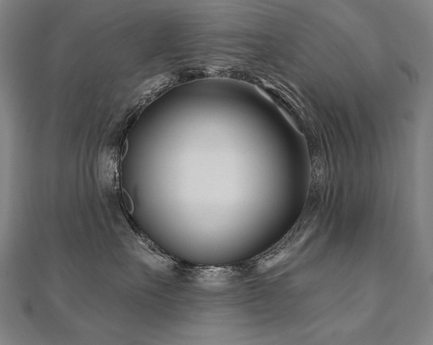 X0000112480527200908171222