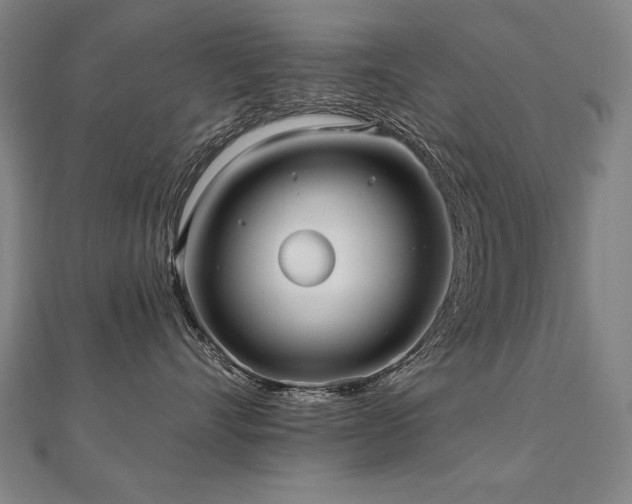 X0000112480528200908171222
