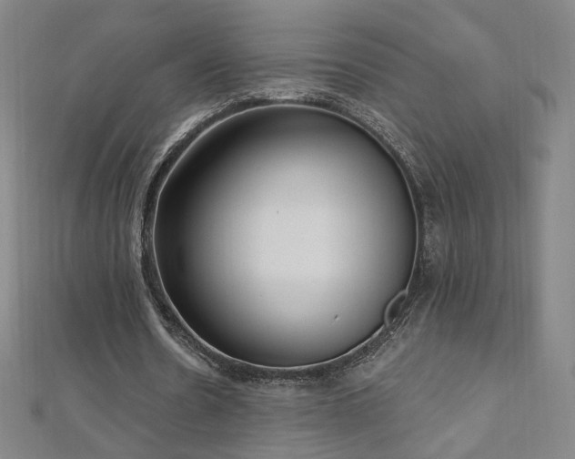X0000112480530200908171222