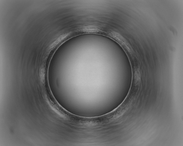 X0000112480533200908171222