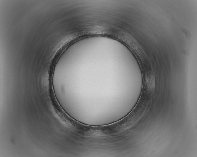 X0000112480534200908171222