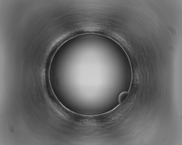 X0000112480535200908171222