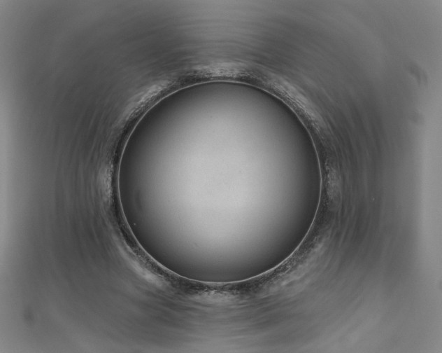 X0000112480537200908171222