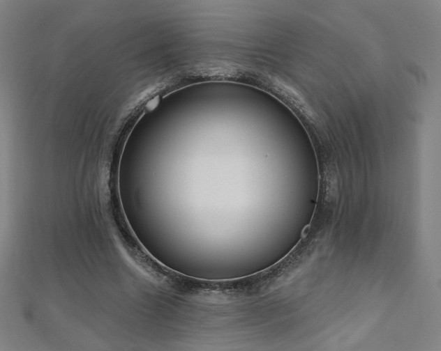 X0000112480538200908171222