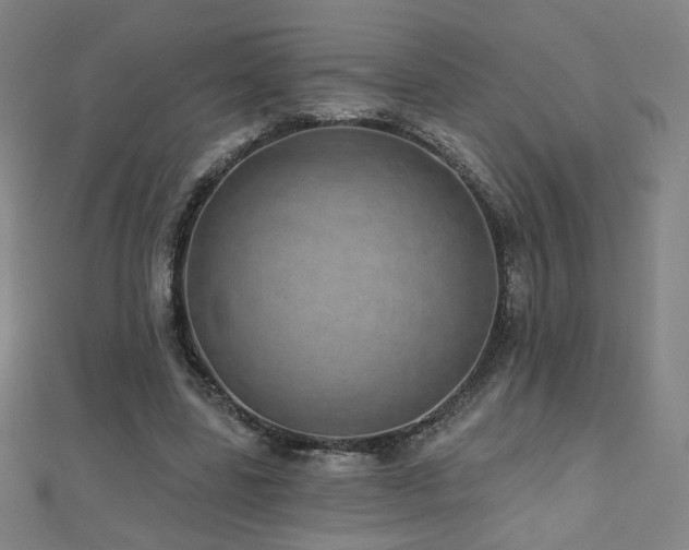 X0000112480539200908171222