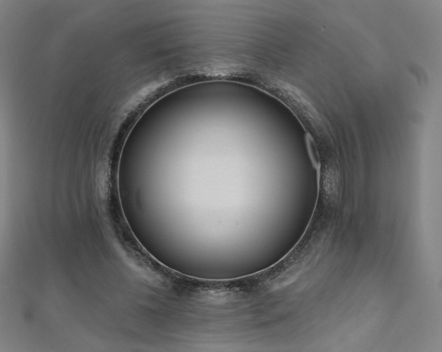 X0000112480540200908171222