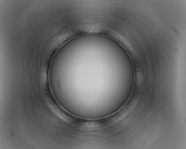 X0000112480541200908171222