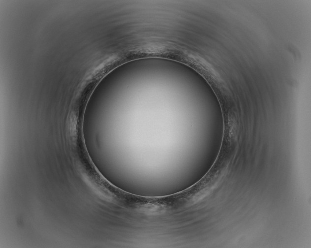 X0000112480542200908171222