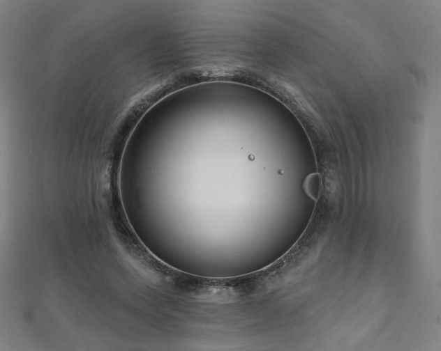 X0000112480543200908171222