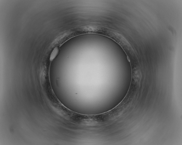 X0000112480544200908171222