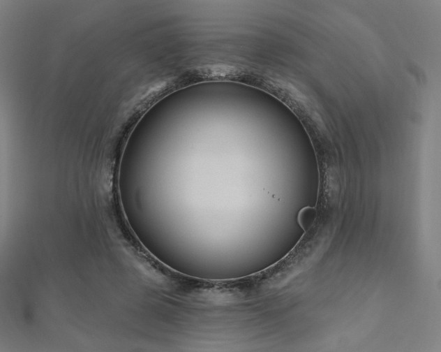 X0000112480545200908171222