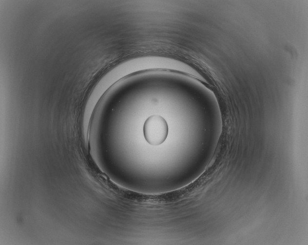 X0000112480546200908171222