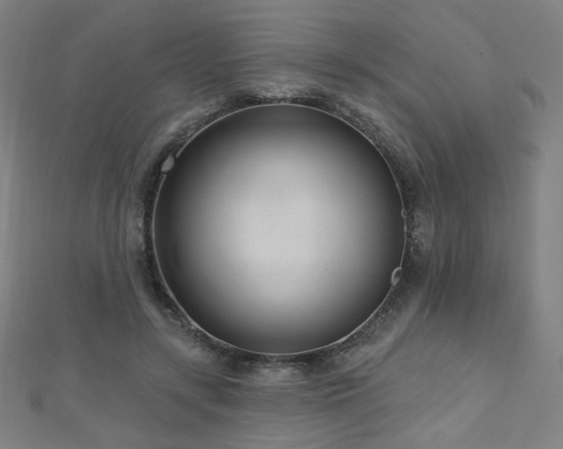 X0000112480547200908171222