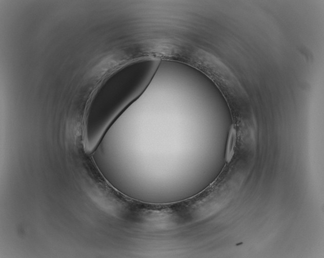 X0000112480548200908171222
