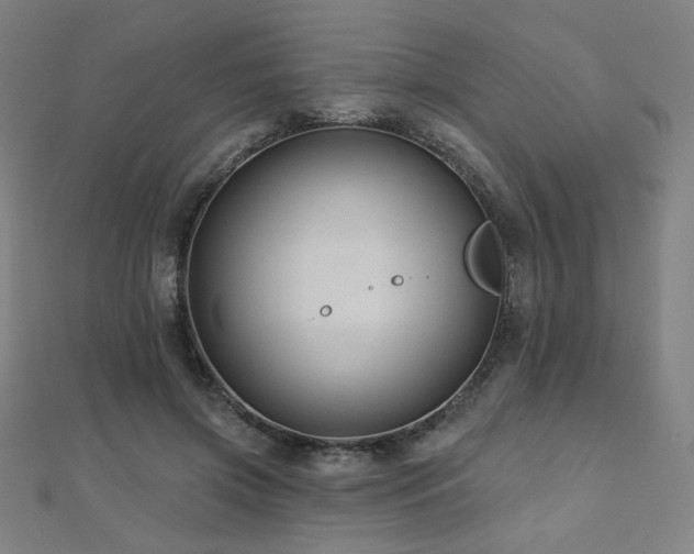 X0000112480549200908171222